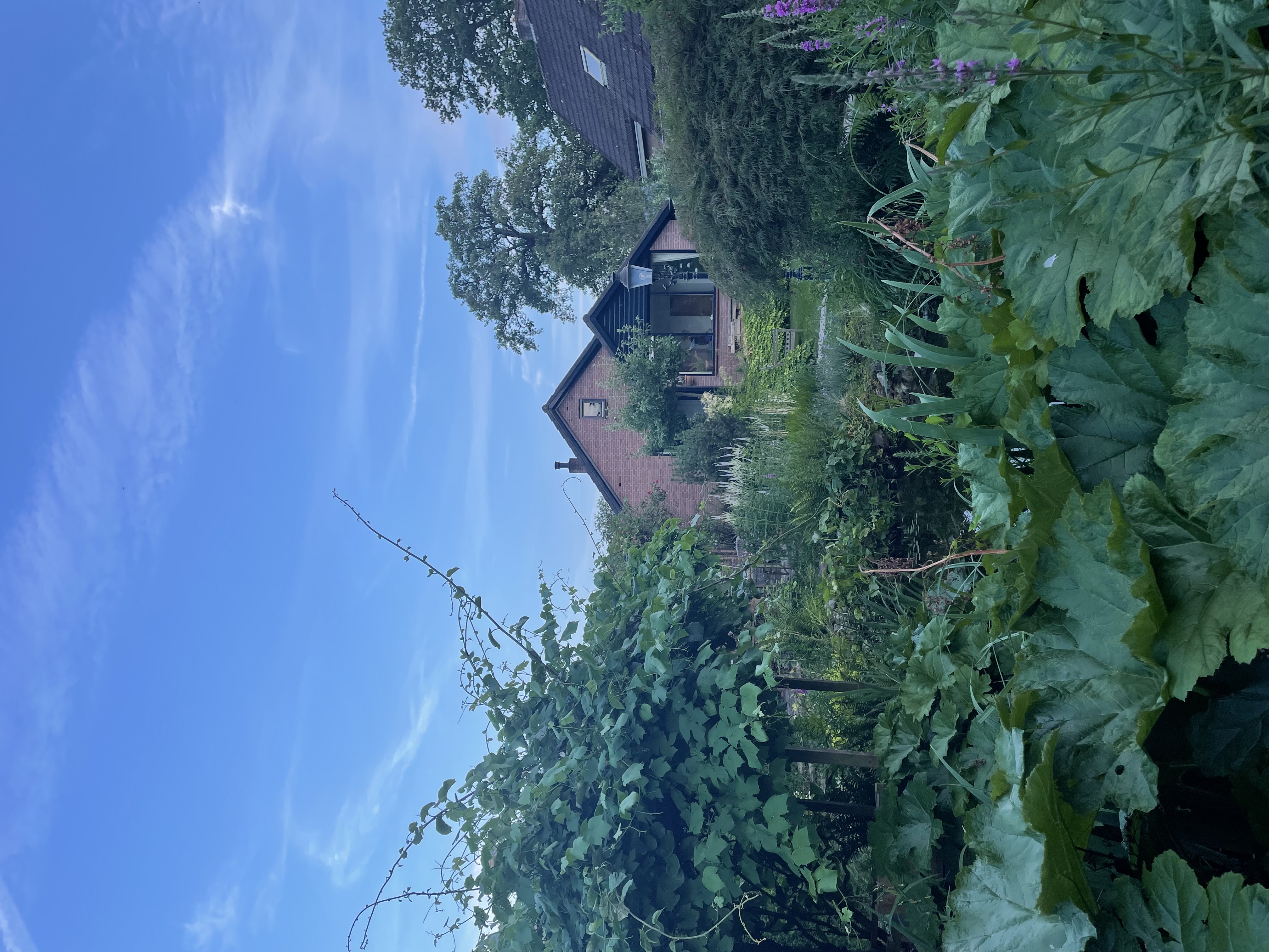 Voorbeeld van een prachtig tuinontwerp met weelderige beplanting, natuurlijke verharding en doordachte zonering die de expertise van Hof van Eden in tuinontwerp toont